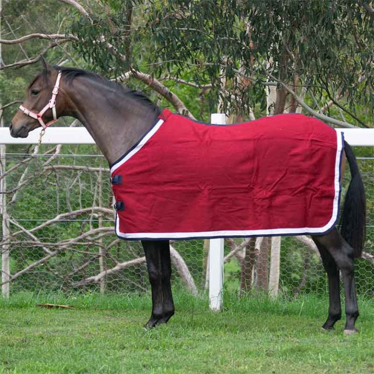 Burgundy Wool Horse Rug Jojubi Saddlery