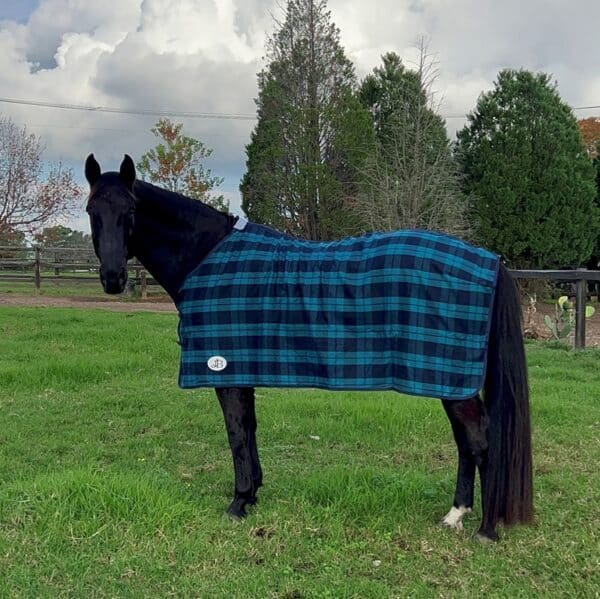 jojubi blue tartan