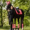 waldhausen florence hibiscus dressage